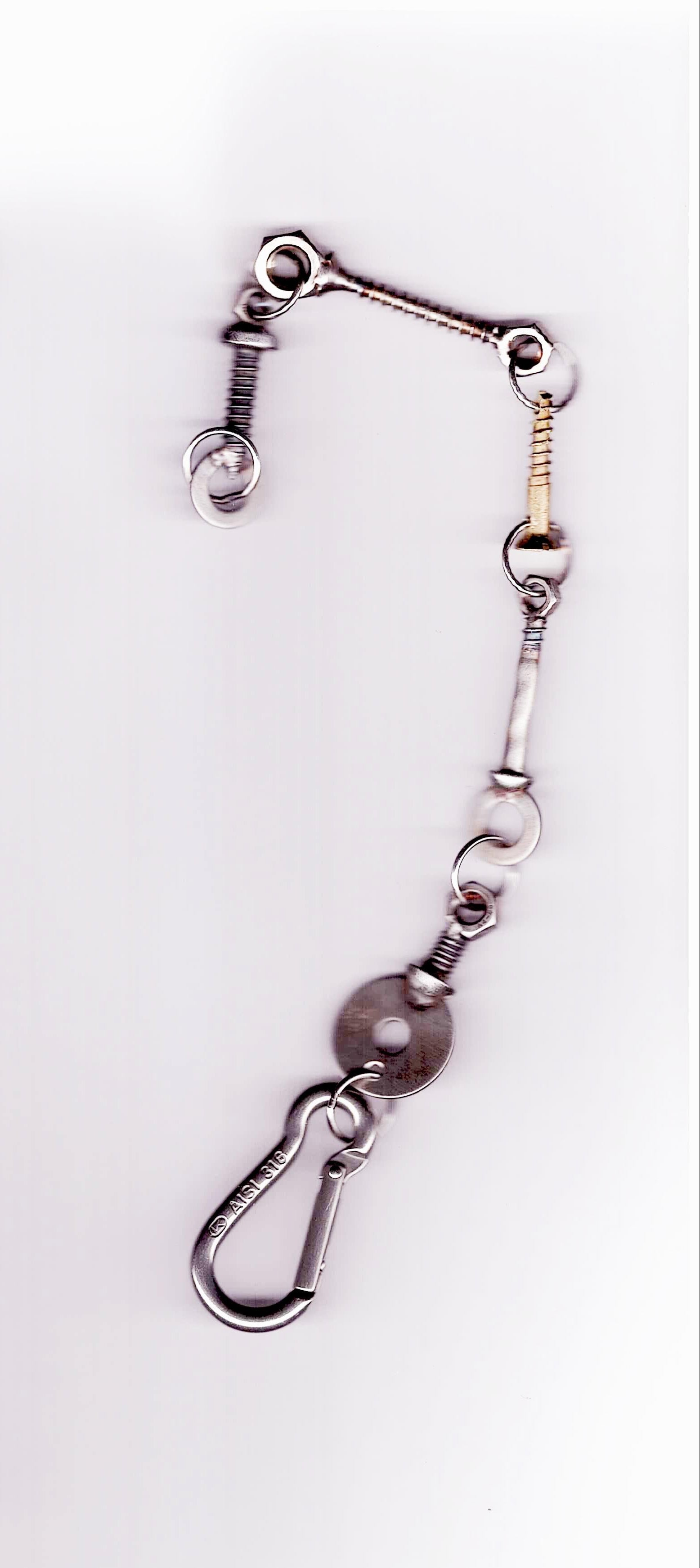 2. DEAN EDMONDS 4 GOTTLOB CHAIN "SCREWED"
